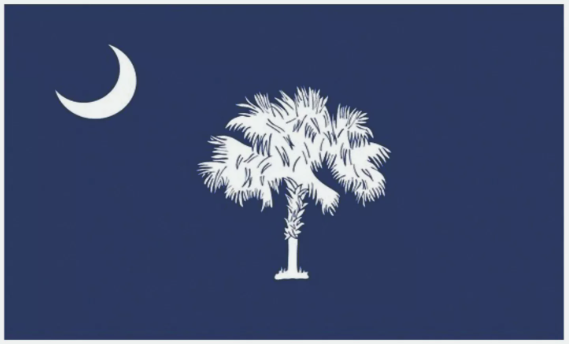 South Carolina State Flag Sticker, Decal, Bumper Sticker Vacation Sticker