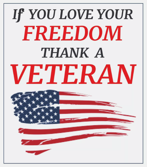 If You Love Your Freedom Thank A Veteran Sticker Decal / Bumper Sticker