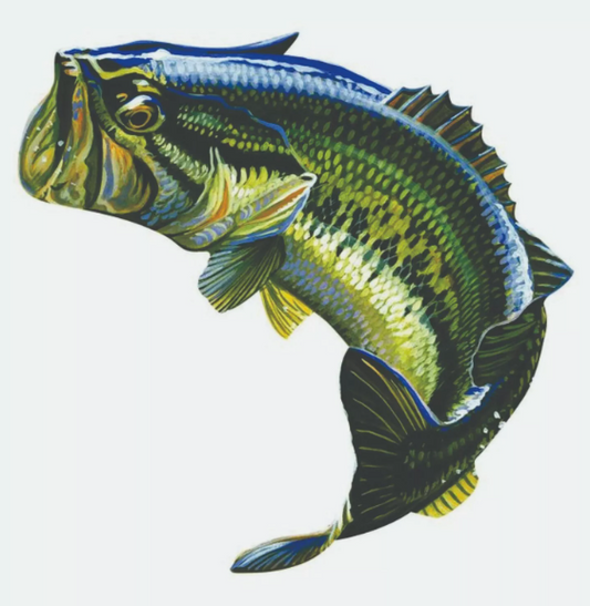 Large Mouth Bass Sticker, Decal, Bumper Sticker Truck, Fishing, Boat Stickers