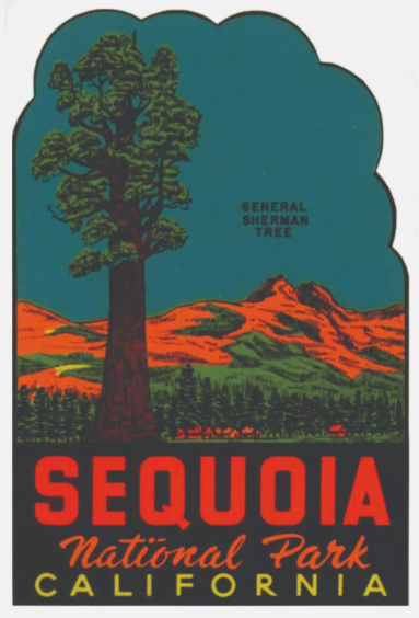 Sequoia National Park Sticker California National Park Decal